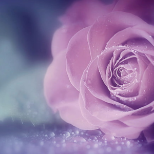 Pakistan and India Match on Big Screen